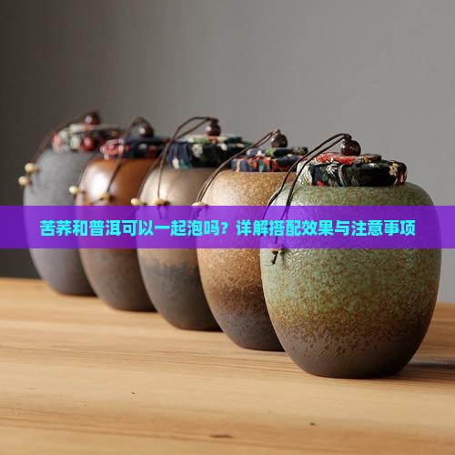 苦荞和普洱可以一起泡吗？详解搭配效果与注意事项
