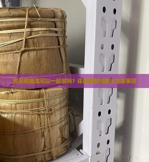 苦荞和普洱可以一起泡吗？详解搭配效果与注意事项