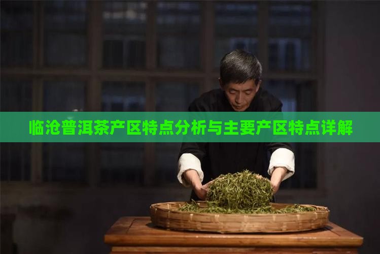 临沧普洱茶产区特点分析与主要产区特点详解