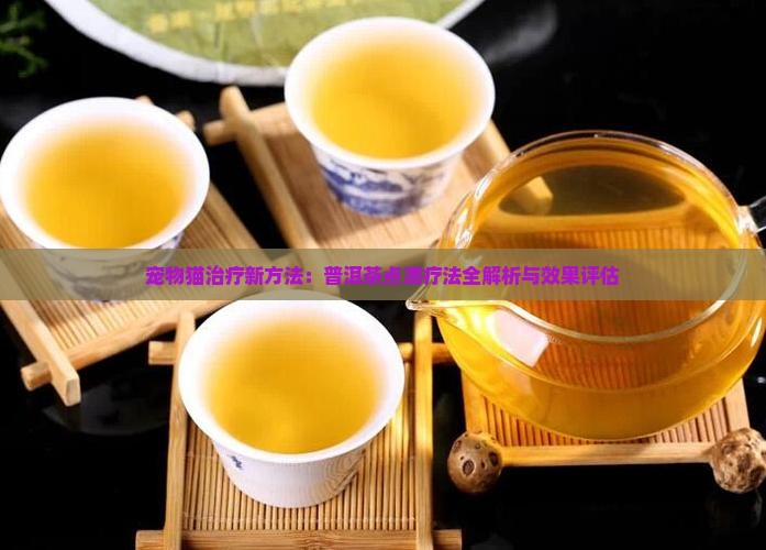 宠物猫治疗新方法：普洱茶点滴疗法全解析与效果评估