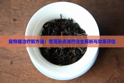 宠物猫治疗新方法：普洱茶点滴疗法全解析与效果评估