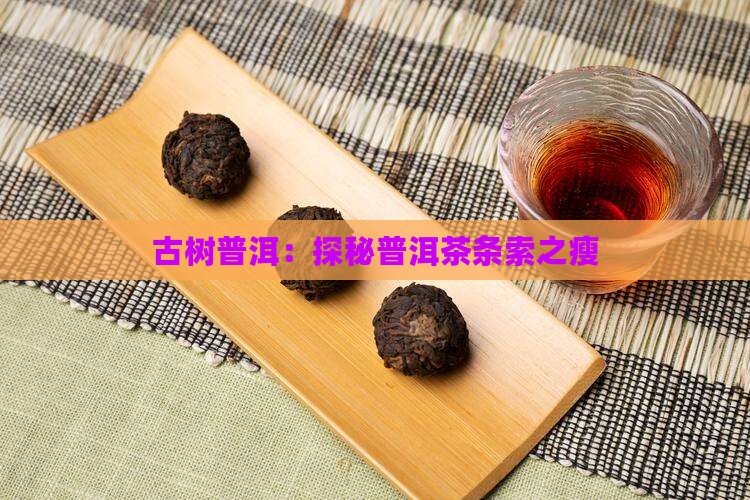 古树普洱：探秘普洱茶条索之瘦