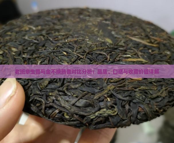 老班章生普与金不换熟普对比分析：品质、口感与收藏价值详解