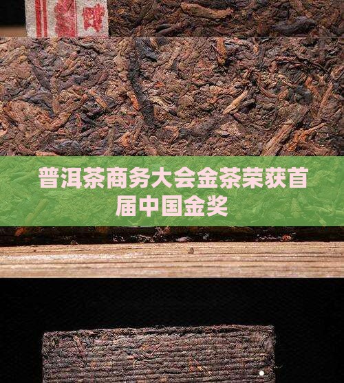 普洱茶商务大会金茶荣获首届中国金奖