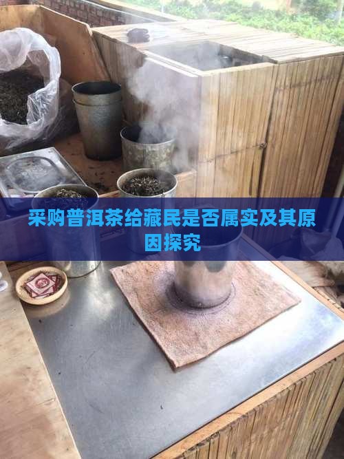 采购普洱茶给藏民是否属实及其原因探究