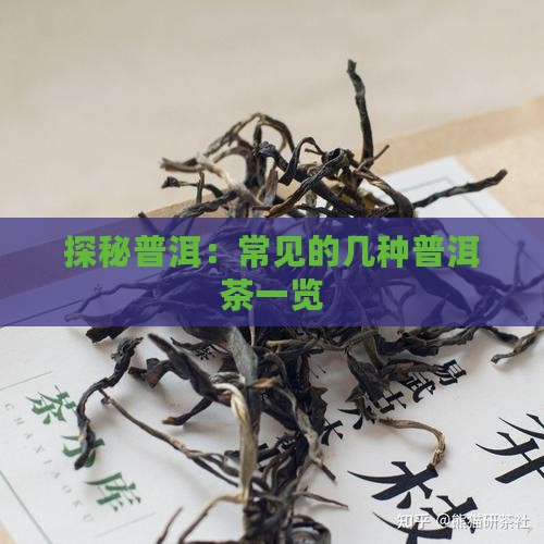 探秘普洱：常见的几种普洱茶一览