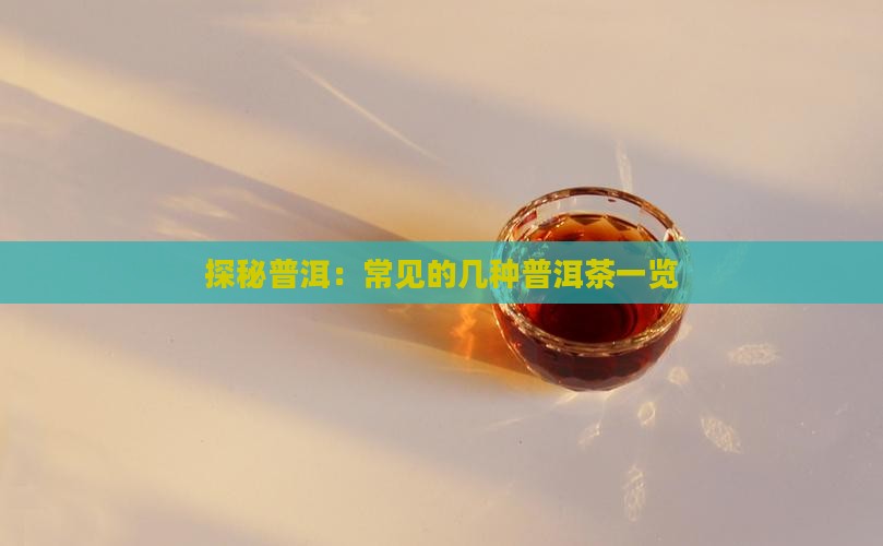 探秘普洱：常见的几种普洱茶一览