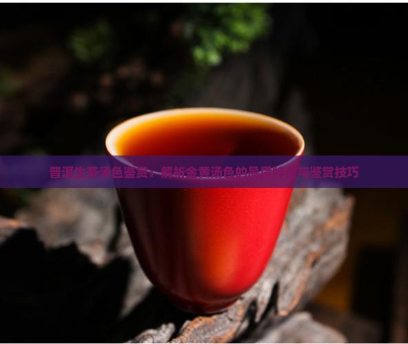 普洱生茶汤色鉴赏：解析金黄汤色的品质特点与鉴赏技巧