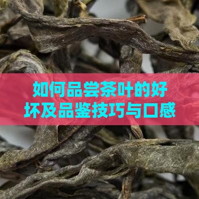 如何品尝茶叶的好坏及品鉴技巧与口感分析