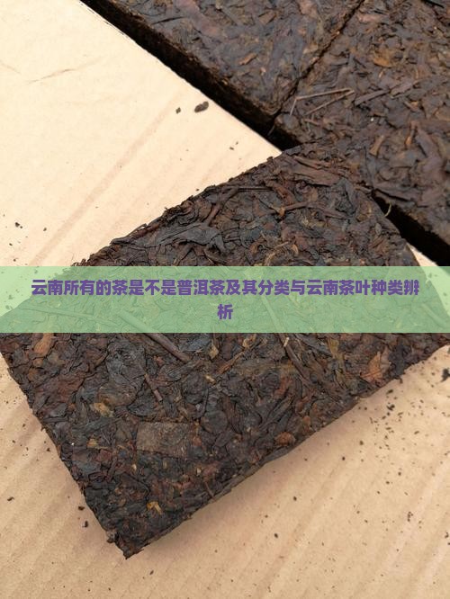 云南所有的茶是不是普洱茶及其分类与云南茶叶种类辨析