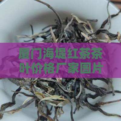 厦门海堤红茶茶叶价格厂家图片供应