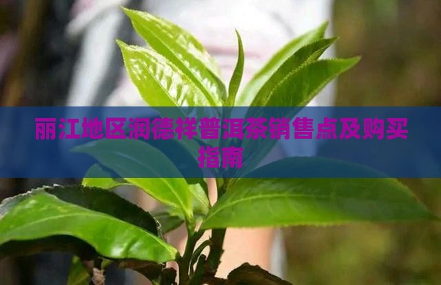 丽江地区润德祥普洱茶销售点及购买指南