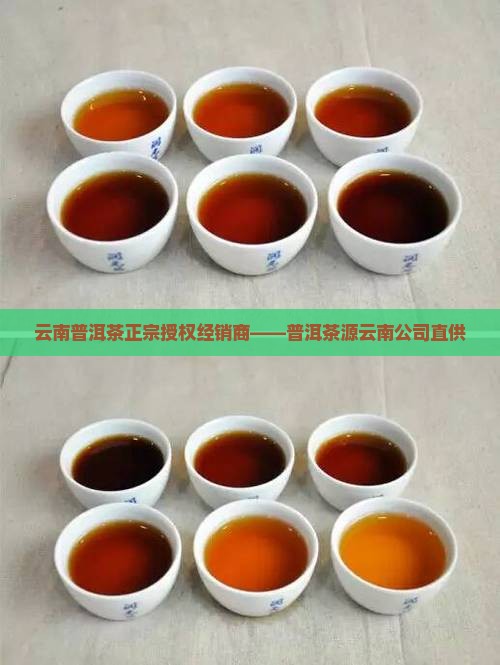 云南普洱茶正宗授权经销商——普洱茶源云南公司直供