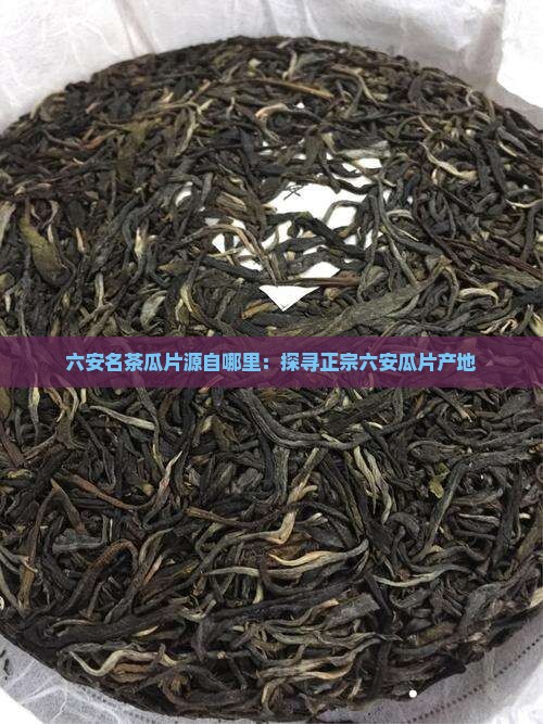 六安名茶瓜片源自哪里：探寻正宗六安瓜片产地
