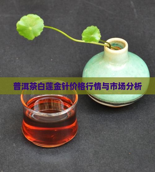 普洱茶白莲金针价格行情与市场分析