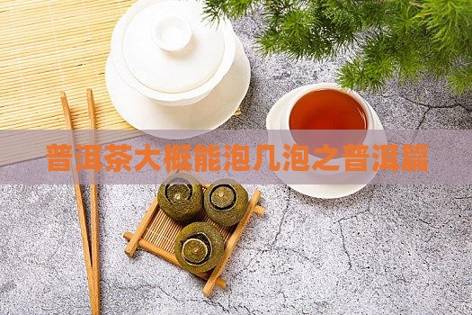 普洱茶大概能泡几泡之普洱篇