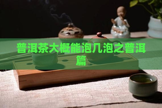 普洱茶大概能泡几泡之普洱篇