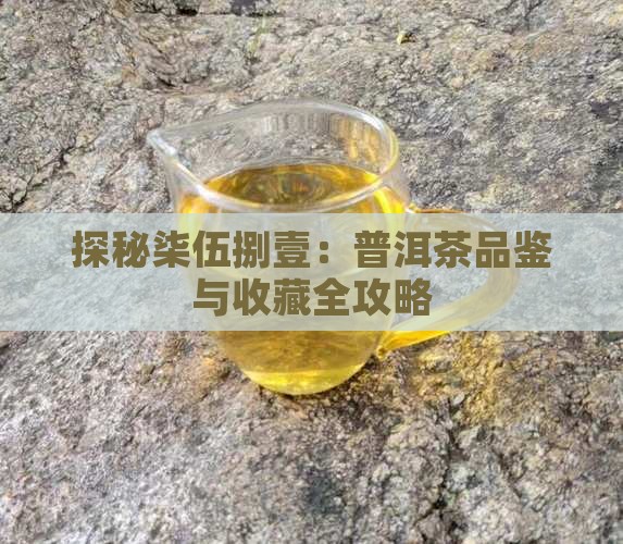 探秘柒伍捌壹：普洱茶品鉴与收藏全攻略