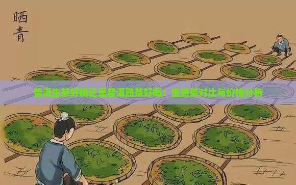 普洱生茶好喝还是普洱熟茶好喝：生熟茶对比与价格分析