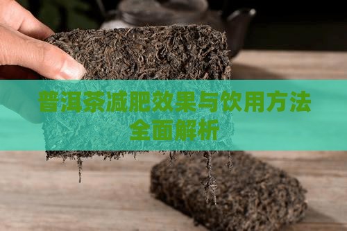 普洱茶减肥效果与饮用方法全面解析