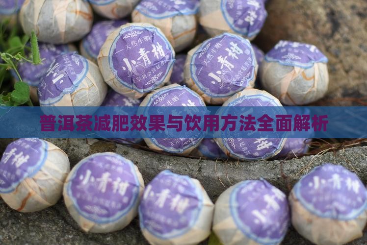 普洱茶减肥效果与饮用方法全面解析