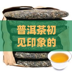 普洱茶初见印象的价格是多少