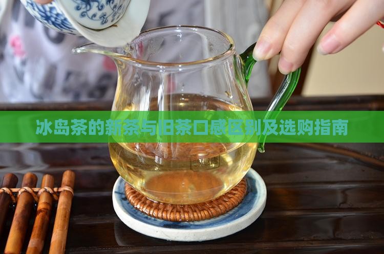 冰岛茶的新茶与旧茶口感区别及选购指南