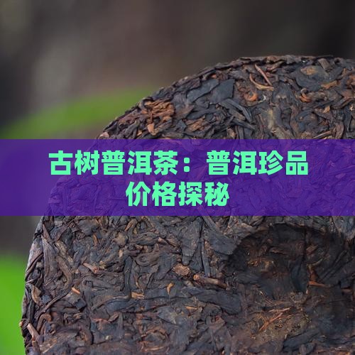 古树普洱茶：普洱珍品价格探秘