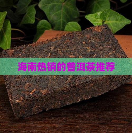 海南热销的普洱茶推荐