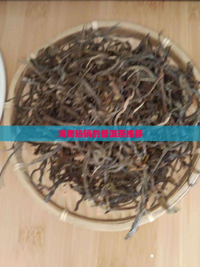 海南热销的普洱茶推荐