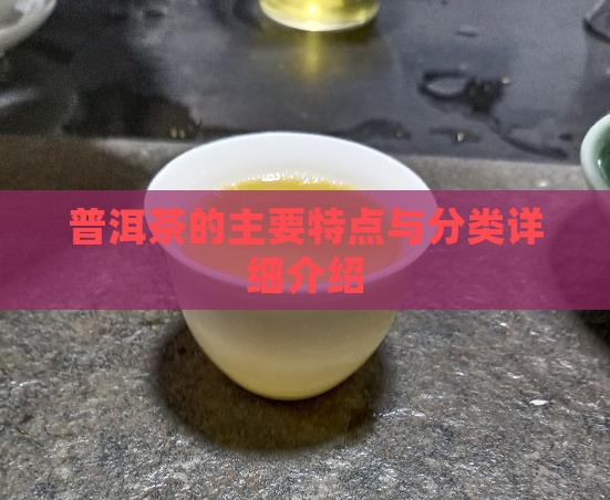 普洱茶的主要特点与分类详细介绍
