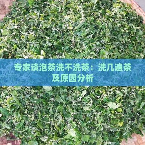 专家谈泡茶洗不洗茶：洗几遍茶及原因分析
