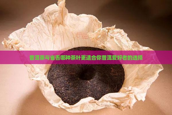 普洱茶与雀舌哪种茶叶更适合你普洱爱好者的选择