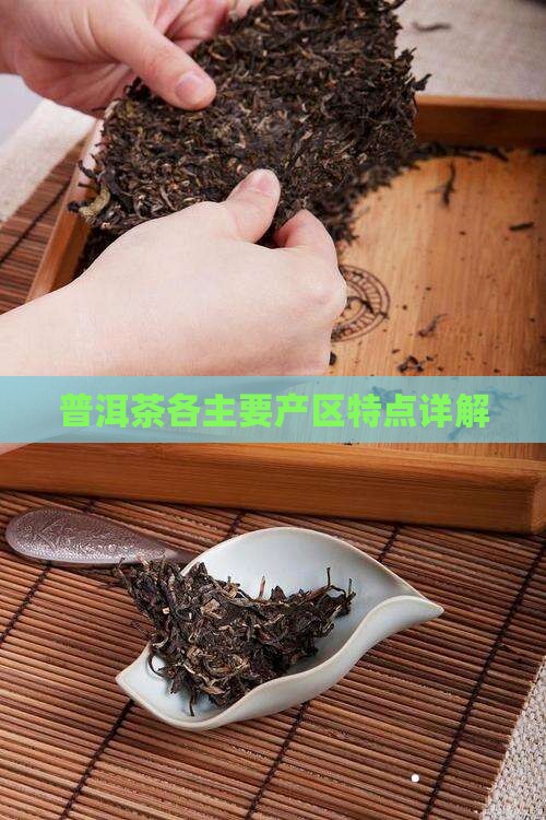 普洱茶各主要产区特点详解