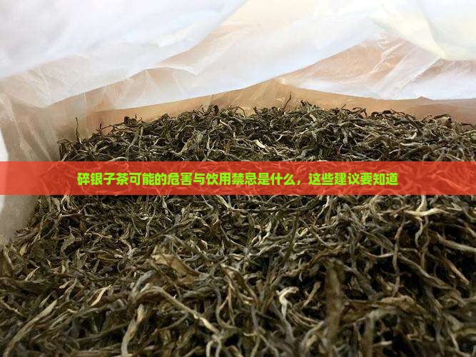 碎银子茶可能的危害与饮用禁忌是什么，这些建议要知道