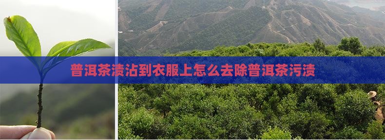 普洱茶渍沾到衣服上怎么去除普洱茶污渍