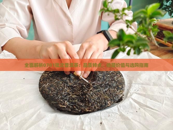 全面解析0701批次普洱茶：品质特点、收藏价值与选购指南