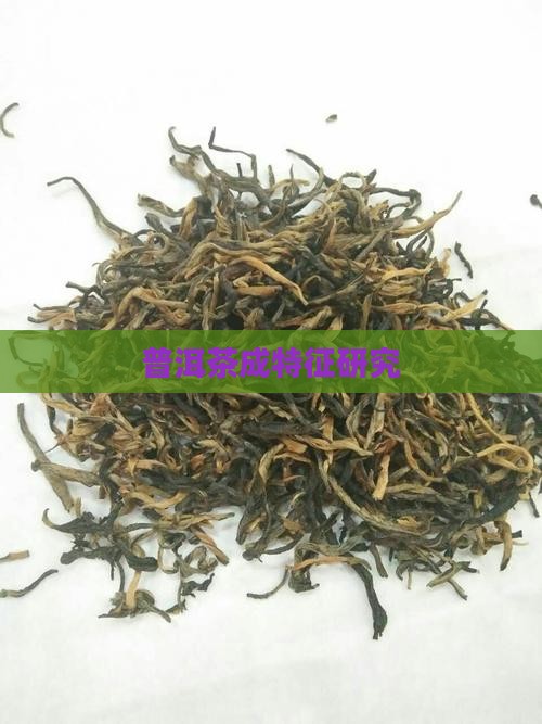 普洱茶成特征研究