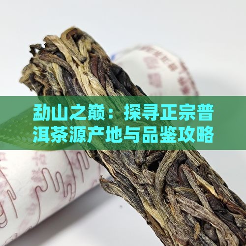 勐山之巅：探寻正宗普洱茶源产地与品鉴攻略