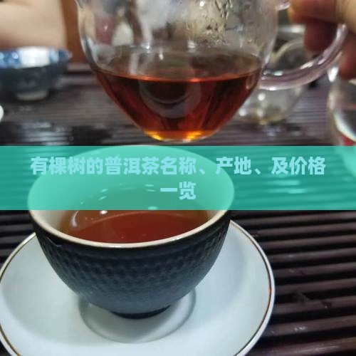 有棵树的普洱茶名称、产地、及价格一览