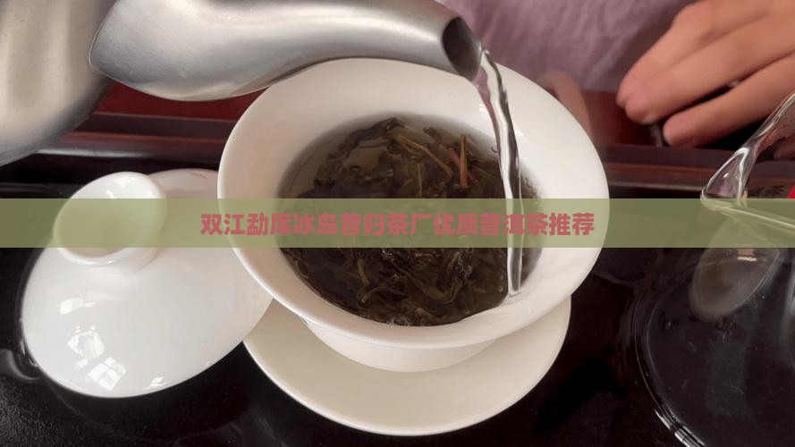 双江勐库冰岛昔归茶厂优质普洱茶推荐