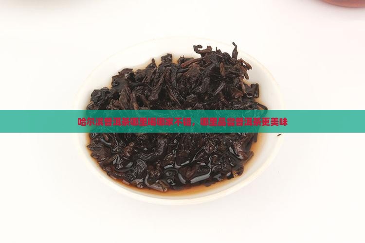 哈尔滨普洱茶哪里喝哪家不错，哪里品尝普洱茶更美味