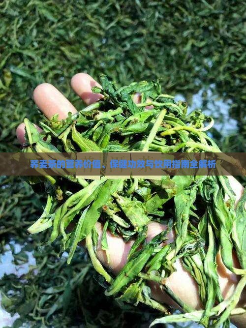 荞麦茶的营养价值、保健功效与饮用指南全解析