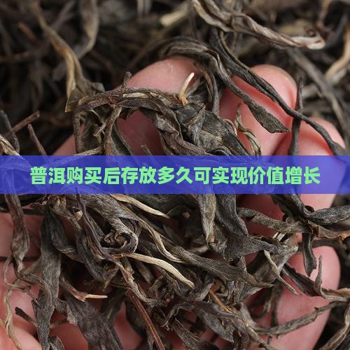 普洱购买后存放多久可实现价值增长