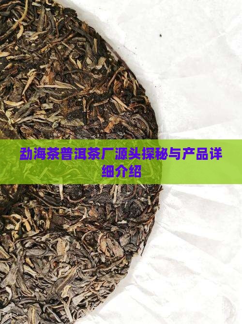 勐海茶普洱茶厂源头探秘与产品详细介绍