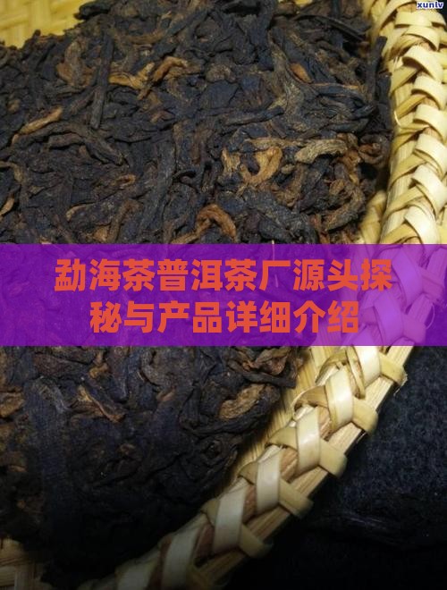 勐海茶普洱茶厂源头探秘与产品详细介绍