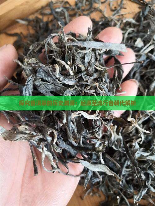 探究普洱茶的历史渊源：起源至流行各朝代解析