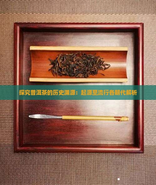 探究普洱茶的历史渊源：起源至流行各朝代解析