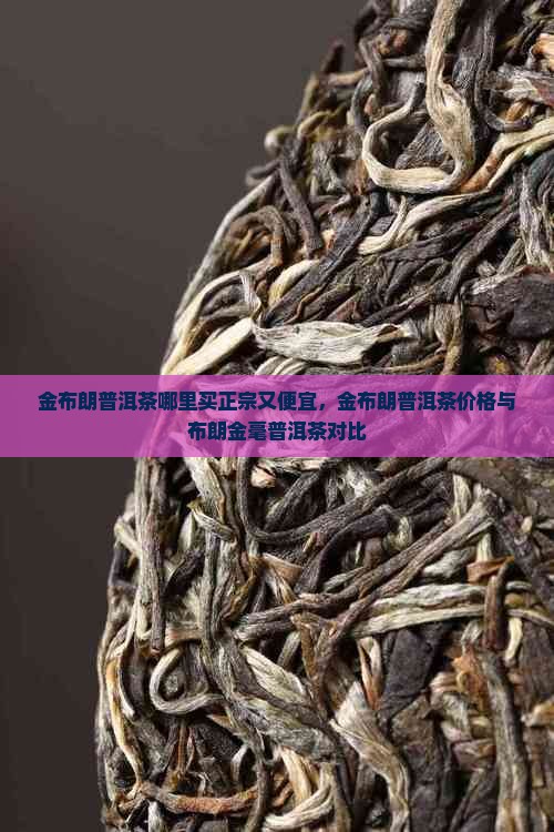 金布朗普洱茶哪里买正宗又便宜，金布朗普洱茶价格与布朗金毫普洱茶对比