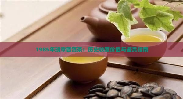 1985年班章普洱茶：历史收藏价值与鉴赏指南